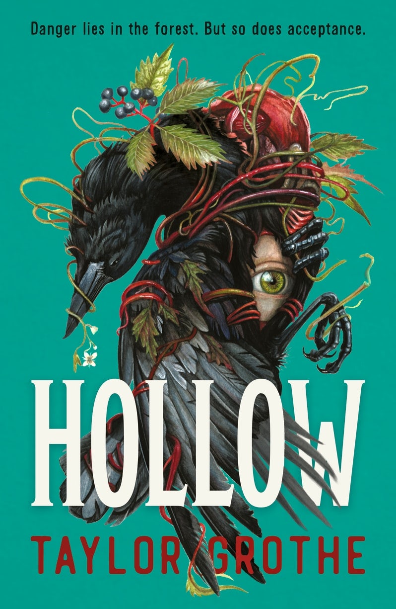 Hollow - Walker Books thumbnail