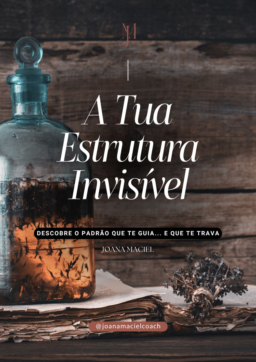 Guia “A Tua Estrutura Invisível” thumbnail