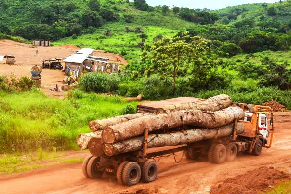 The fight for the Congo Basin is on! thumbnail