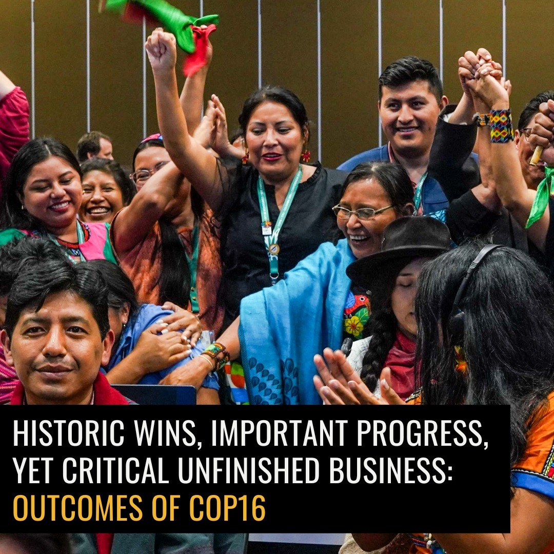 Updates from COP16 thumbnail