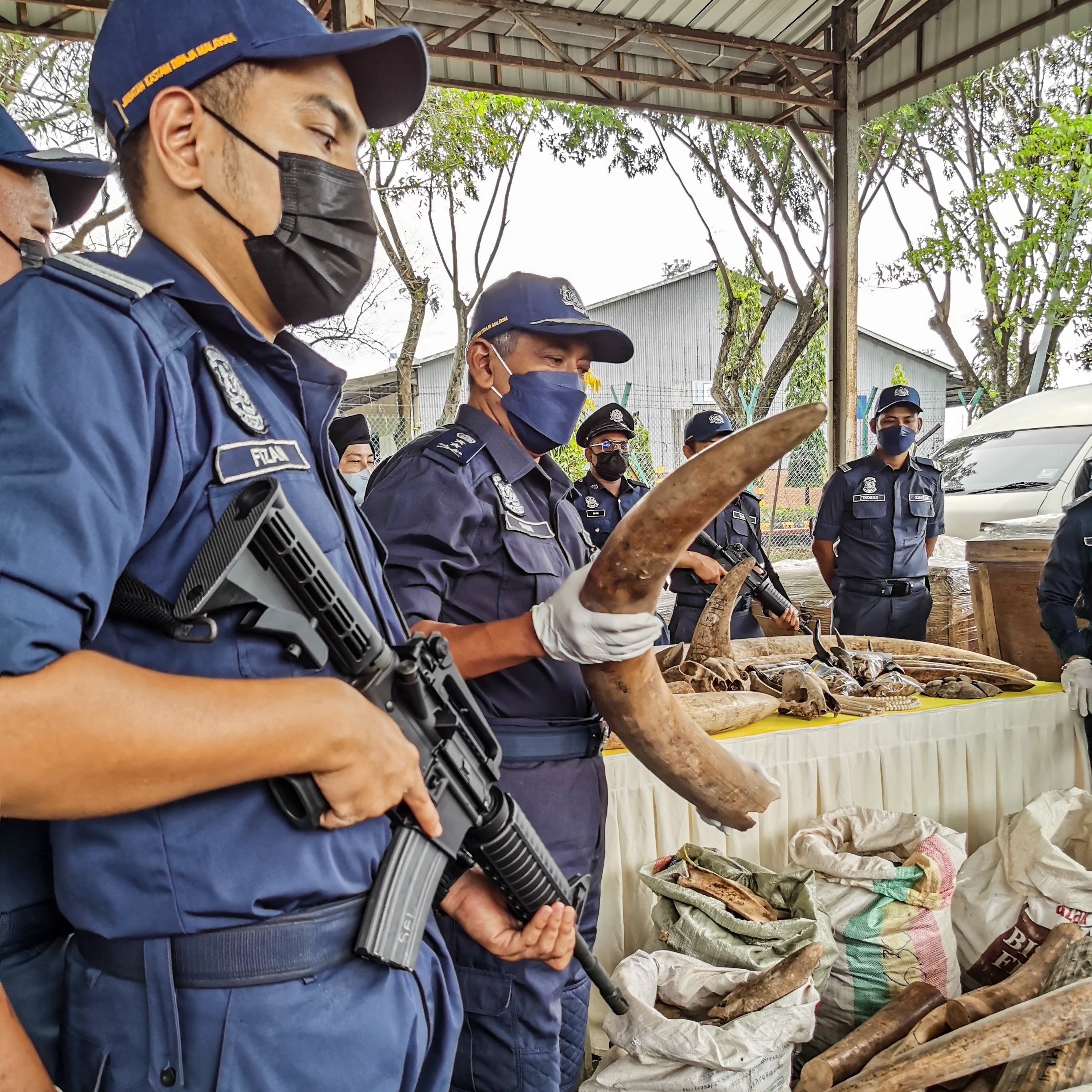 WEBINAR: Can AI transform the fight against nature crimes and corruption? 🌍🤖 thumbnail