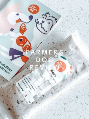 mae loves it!! 10/10 🤍 @The Farmer’s Dog  #asmr #thefarmersdog #goldenretriever #motivation #thatgirl 