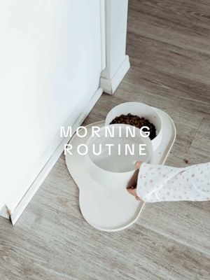 happy monday!! 🤍🐶🧼 #asmr #asmrsounds #motivation #Home #morning #morningvlog #cleangirlaesthetic #morningroutine 
