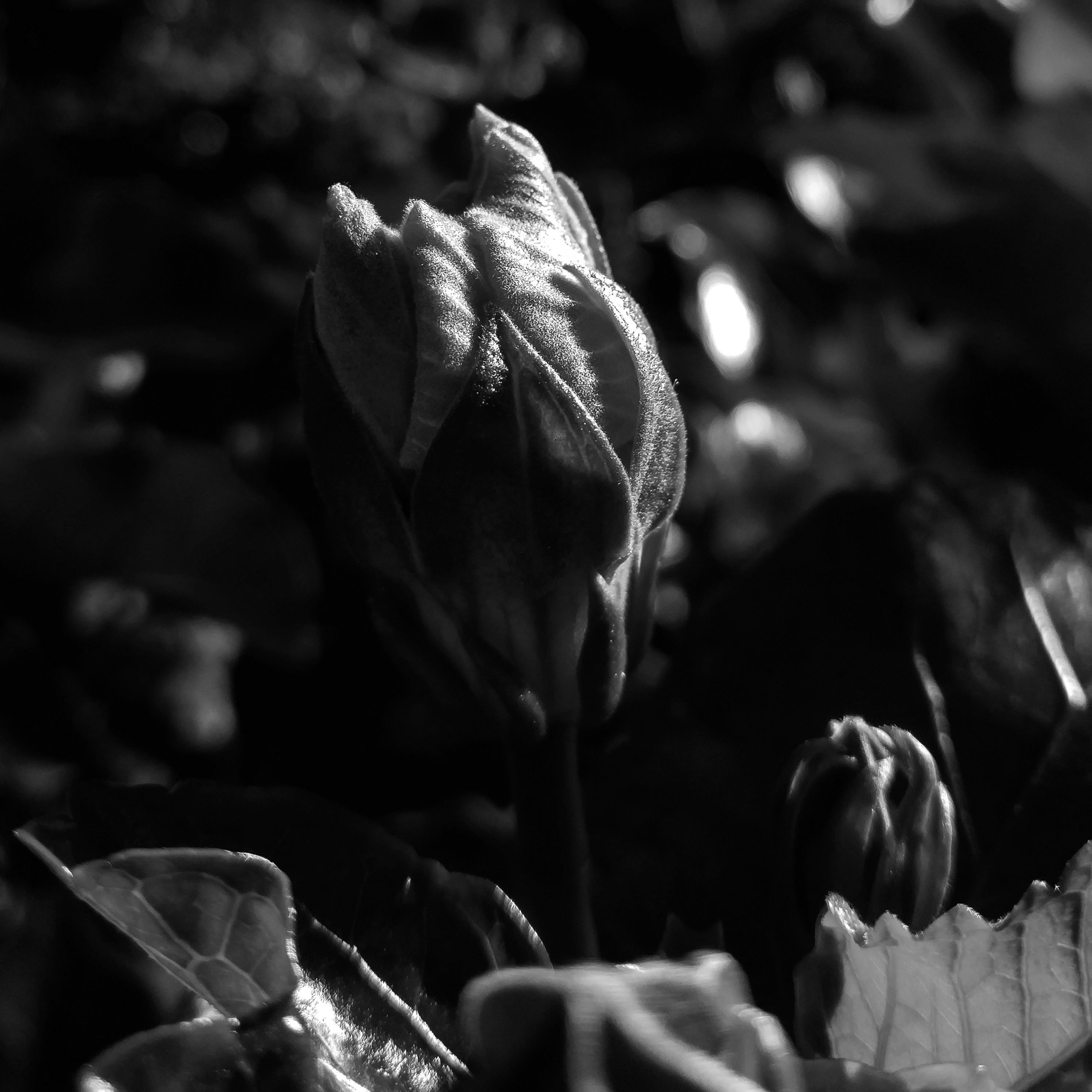 StoryGraph・・・・・ thumbnail