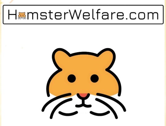 Hamster Welfare thumbnail