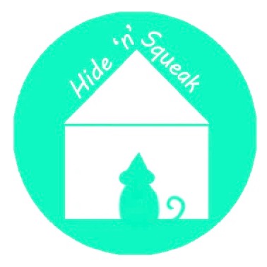 Hide 'n' Squeak thumbnail