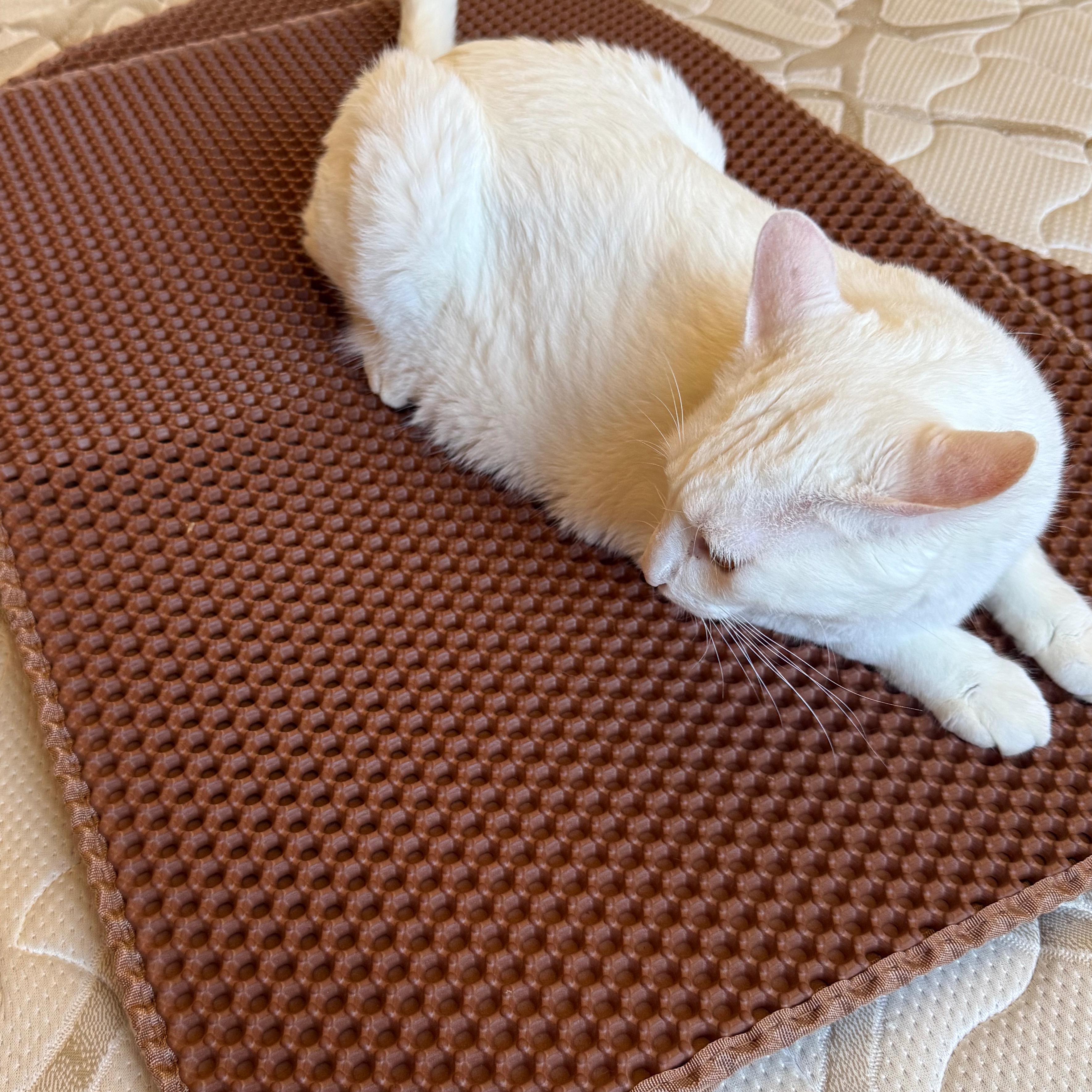 Tapetes Coletor de Areia  thumbnail