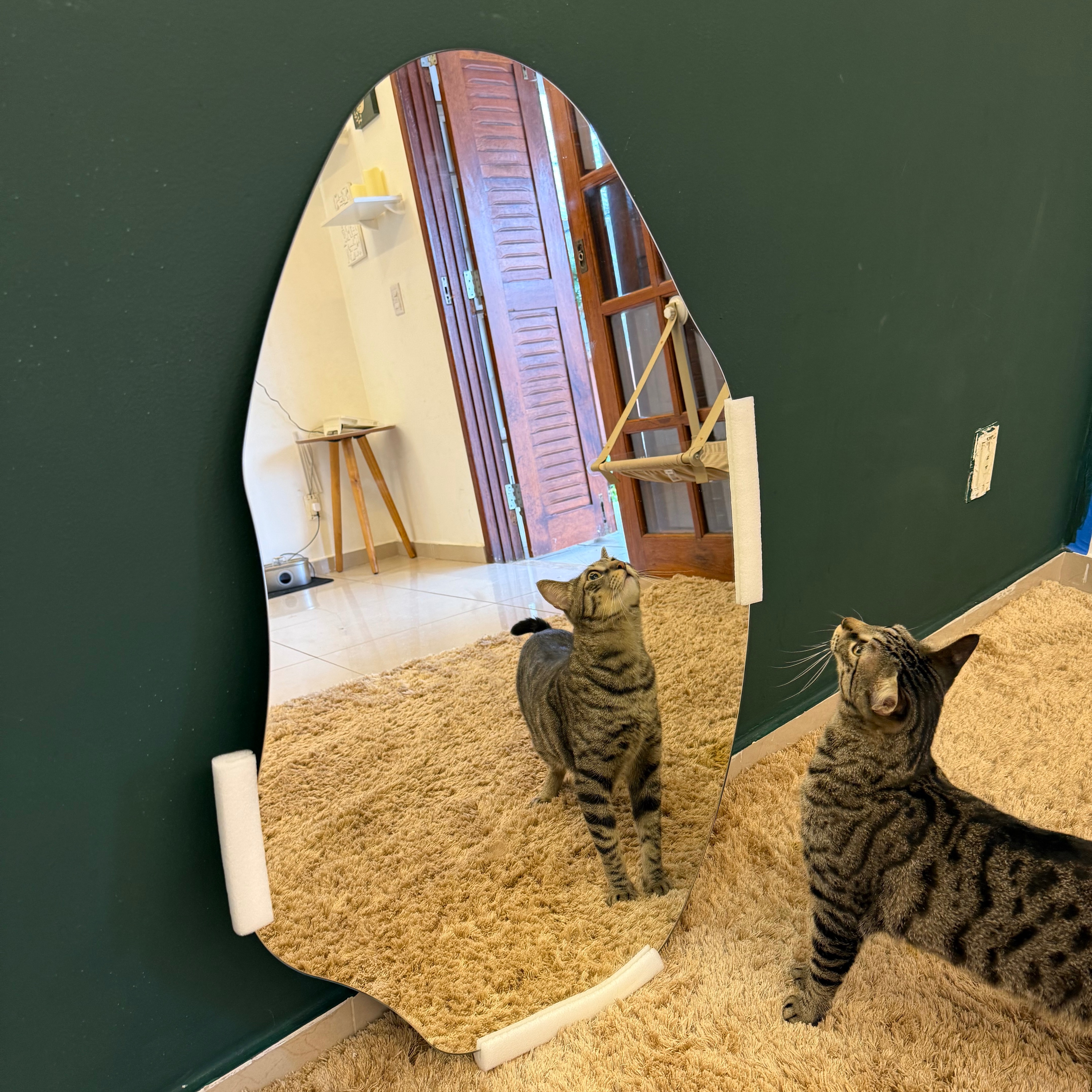 Espelho Orgânico VÊNUS 90x60cm thumbnail