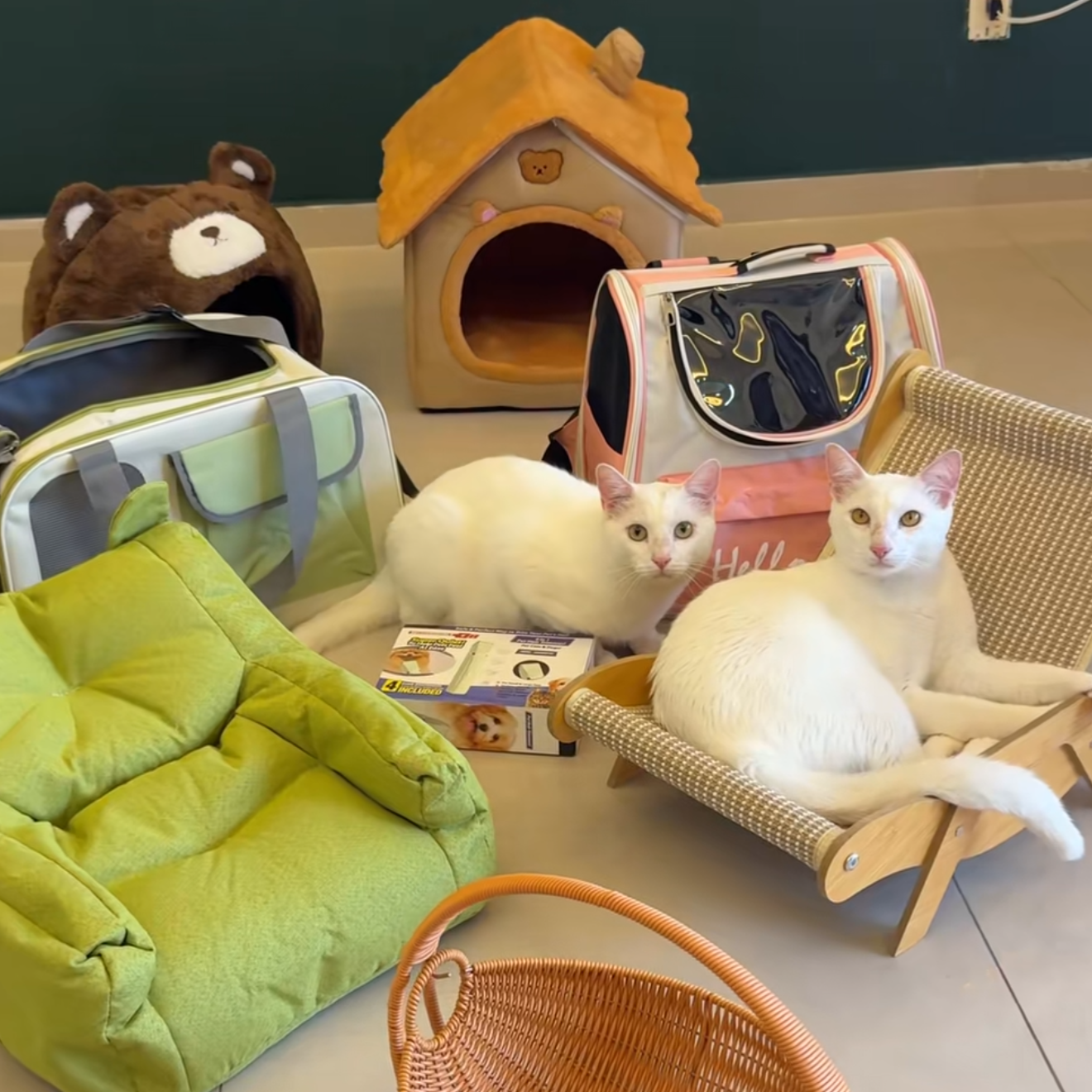 🔍 Código: 【kcg8975】 | para comprar de GRAÇA💗 no Temu thumbnail