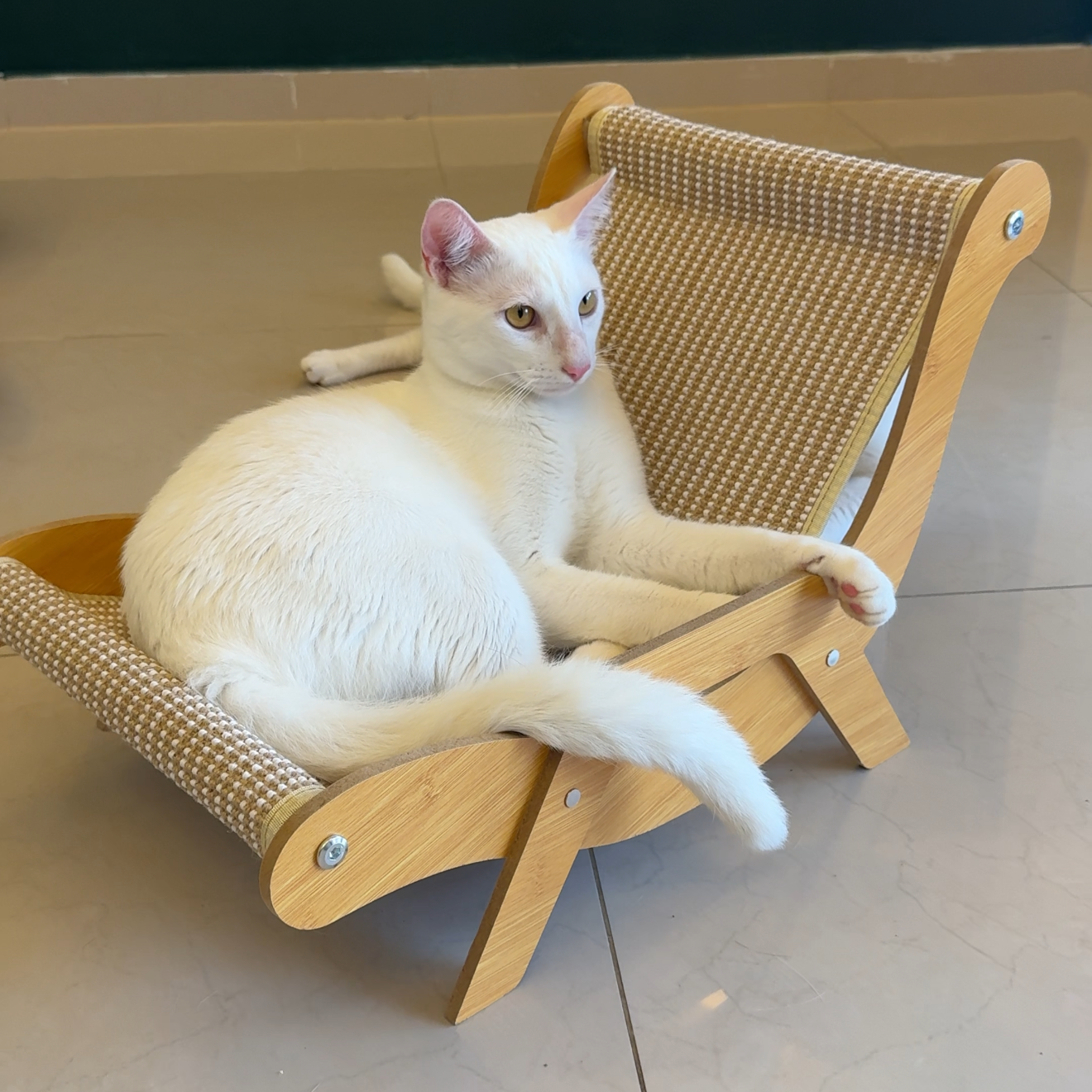 Cadeira de Sisal - TEMU thumbnail