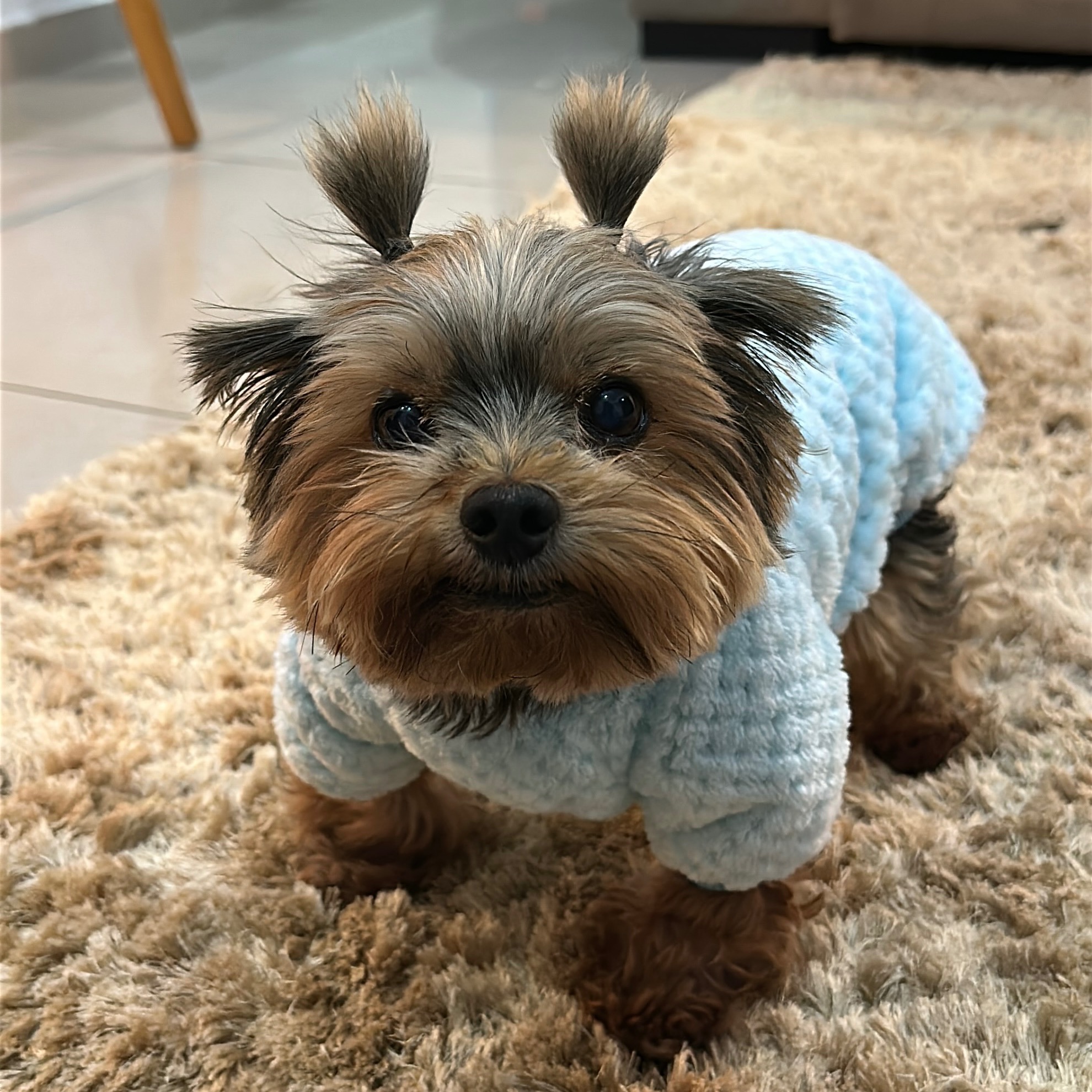 Roupinha Azul do Natal - Shopee thumbnail