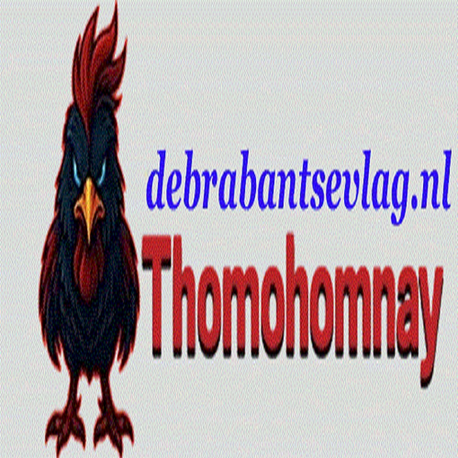 THOMOHOMNAY deb thumbnail