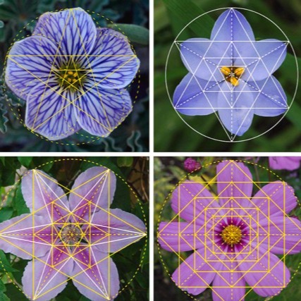 25 octobre 2025 - Niveau 2 - Géométrie Sacrée thumbnail