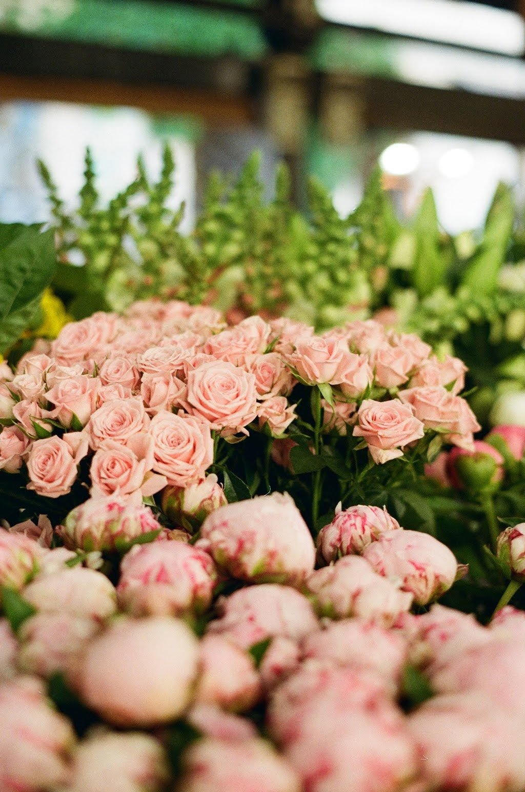 Join Reclaim + Renew - a group for post traumatic growth! $50 off thru 3/30 thumbnail