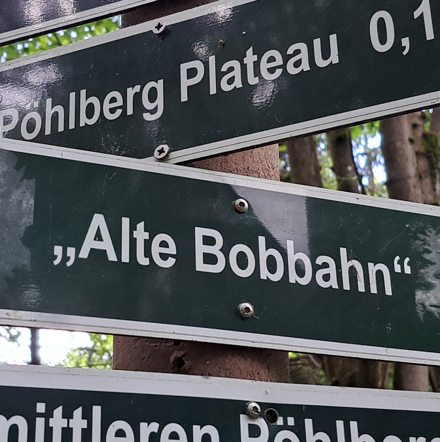 Abenteuertour Pöhlberg (Tiere & Bobbahn) thumbnail