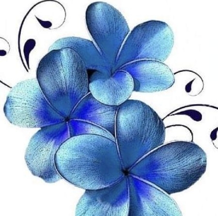 Fallyn's Forget Me Not Foundation thumbnail