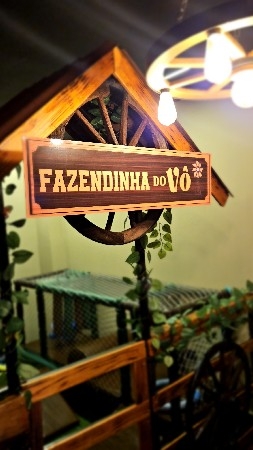 BRINQUEDOTECA FAZENDINHA DO VÔ  thumbnail