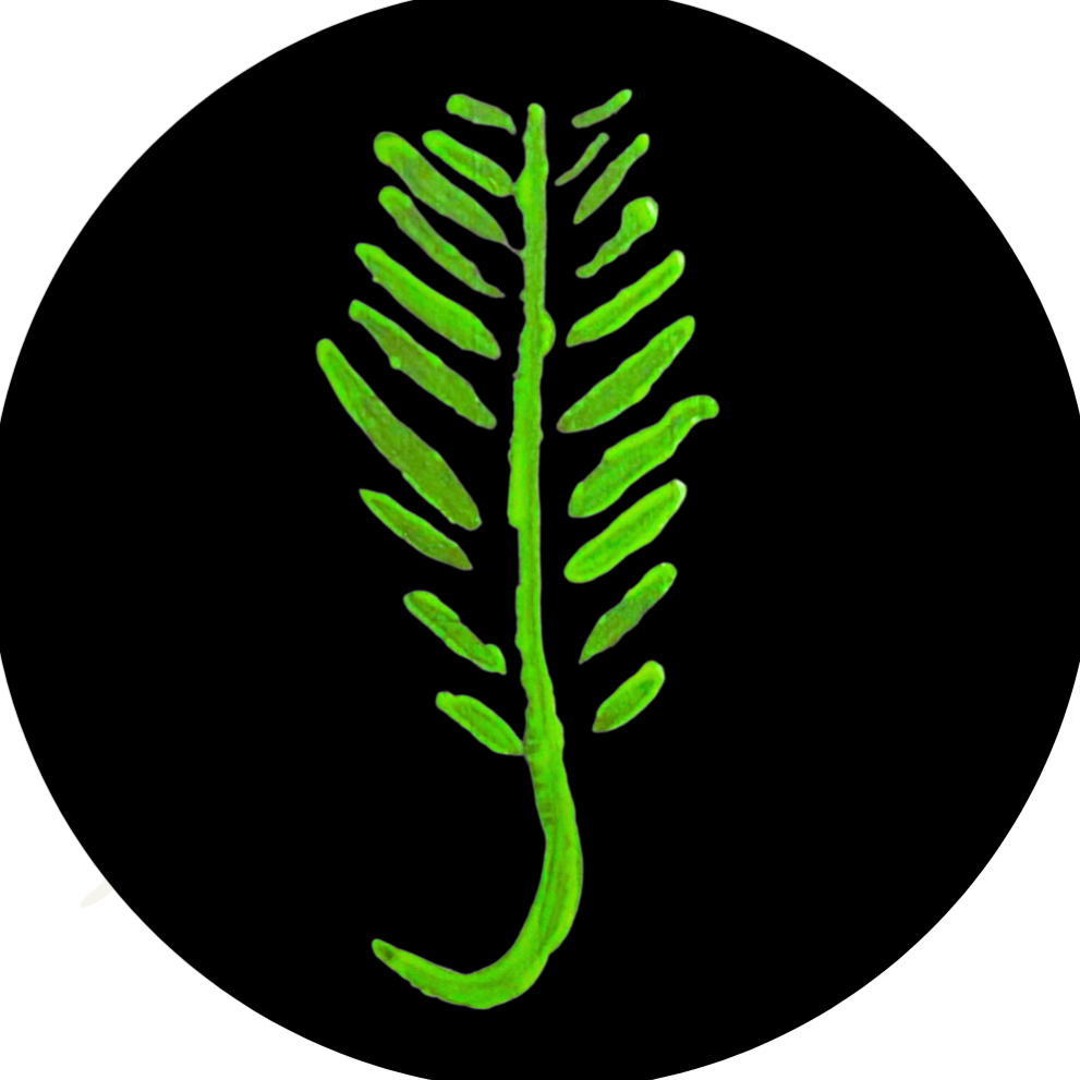 Be A Pioneer thumbnail