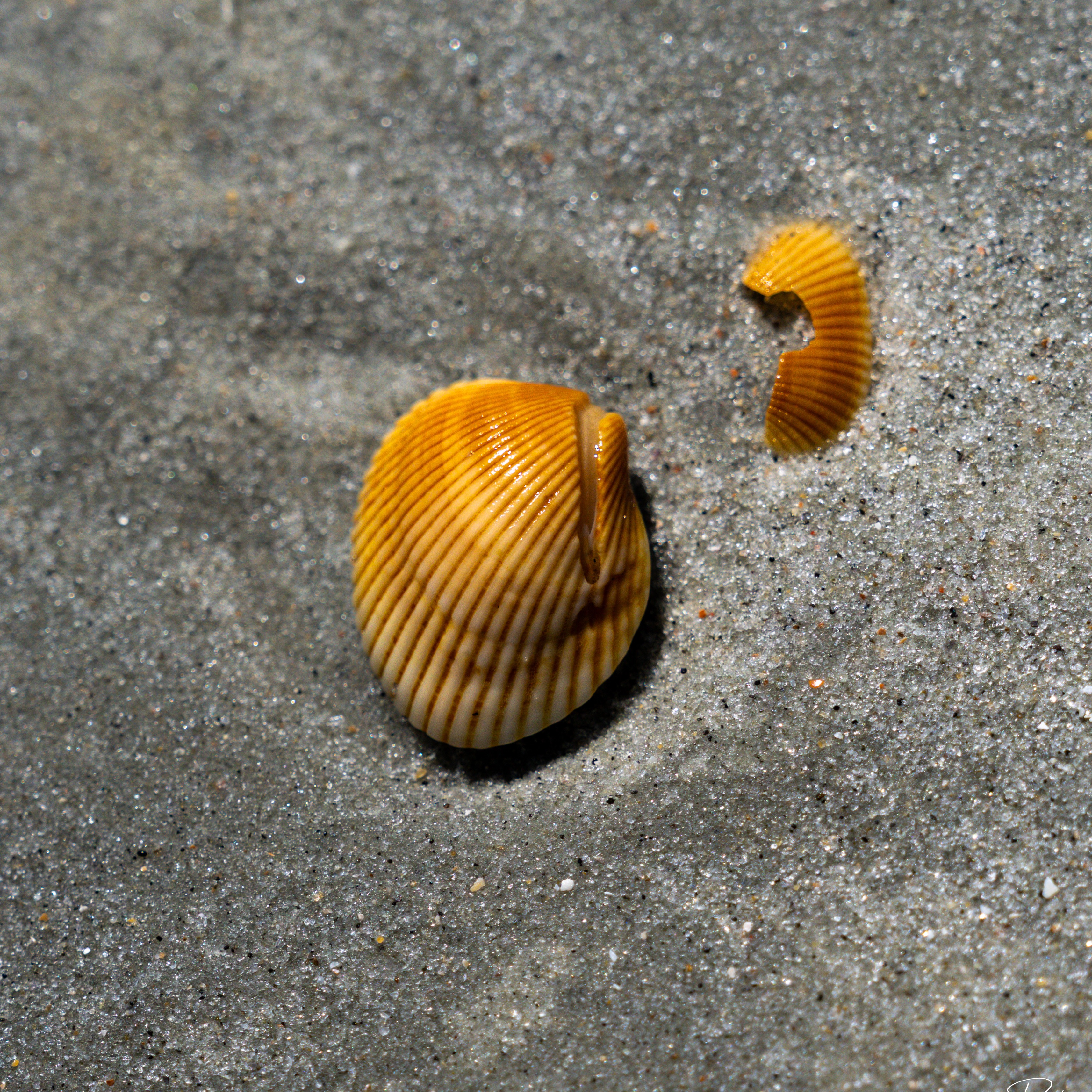 Glass Photography Community thumbnail