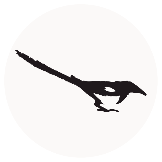 Spoonflower Resize / Recolor Request form thumbnail