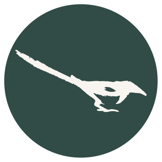 Newsletter thumbnail