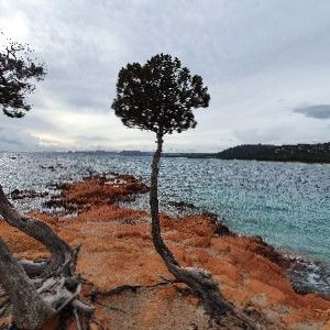 Alain Reynaud Photo thumbnail