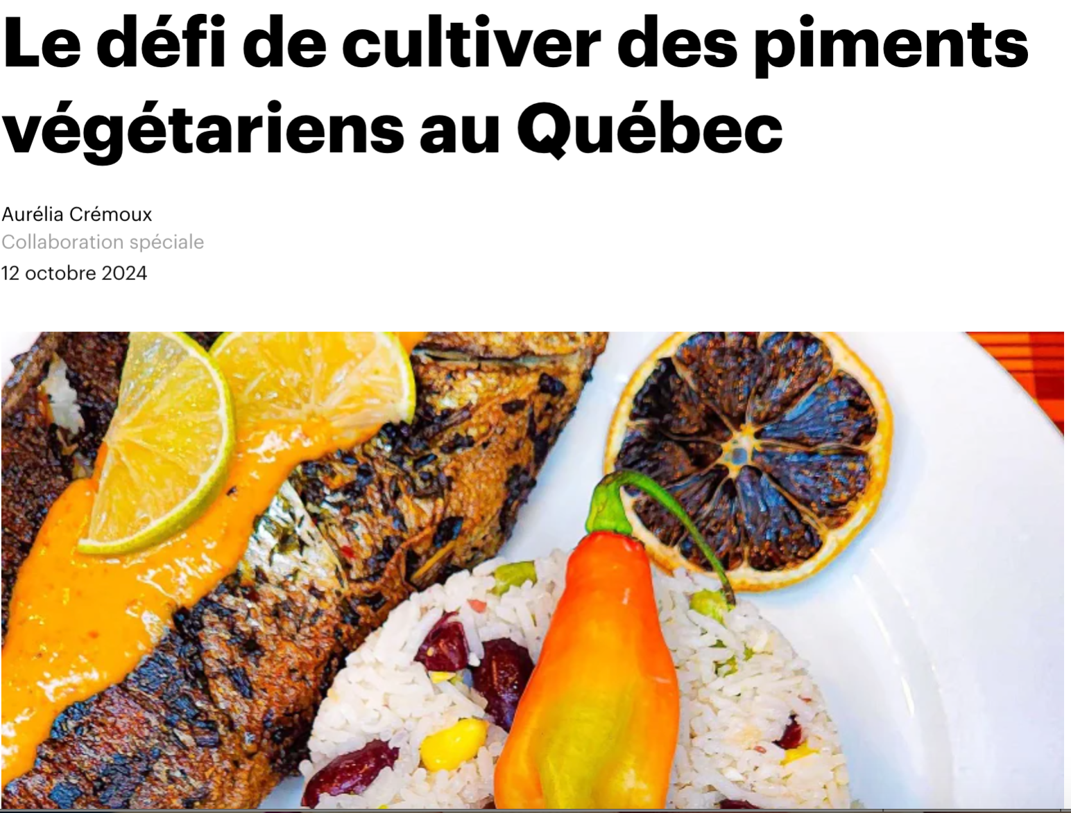 Article Le Devoir thumbnail
