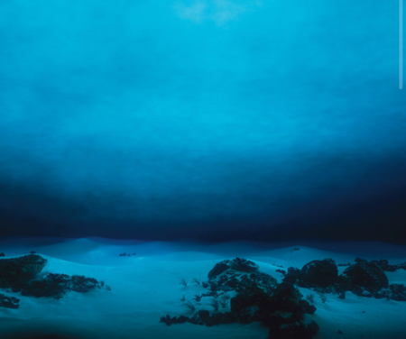 DEFEND THE DEEP SEA thumbnail