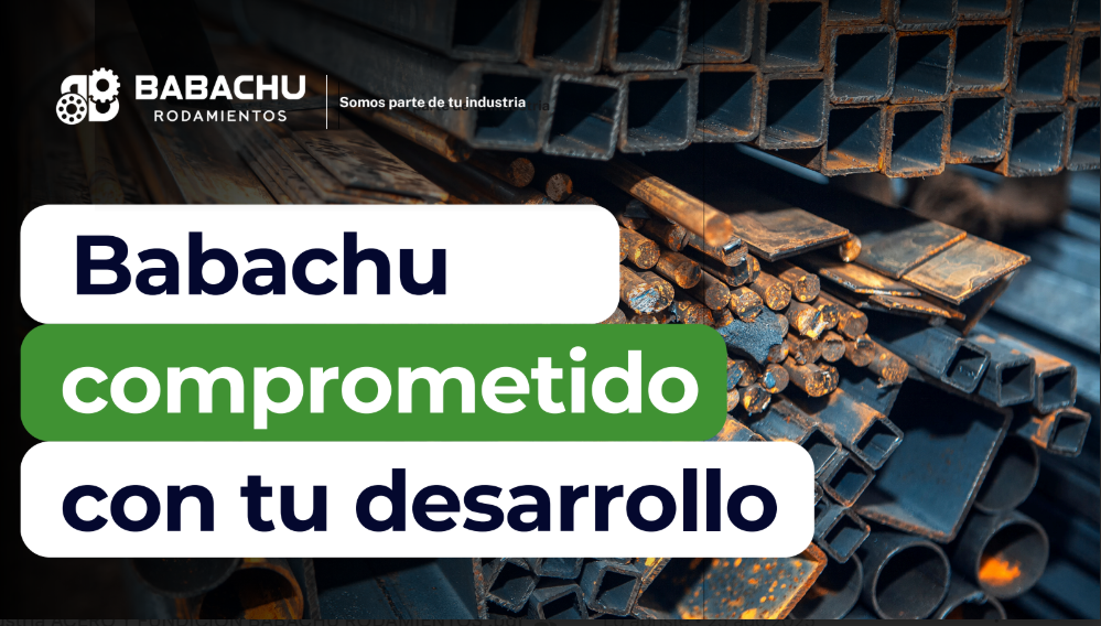 Siderúrgica y Metalúrgica thumbnail