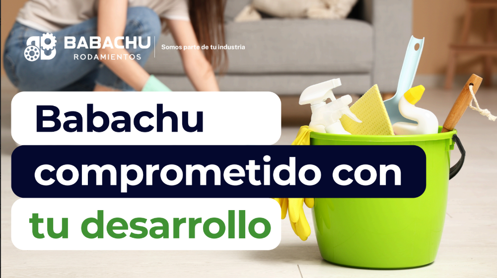 _Industria DE LIMPIEZA BABACHU RODAMIENTOS  (1).pdf thumbnail