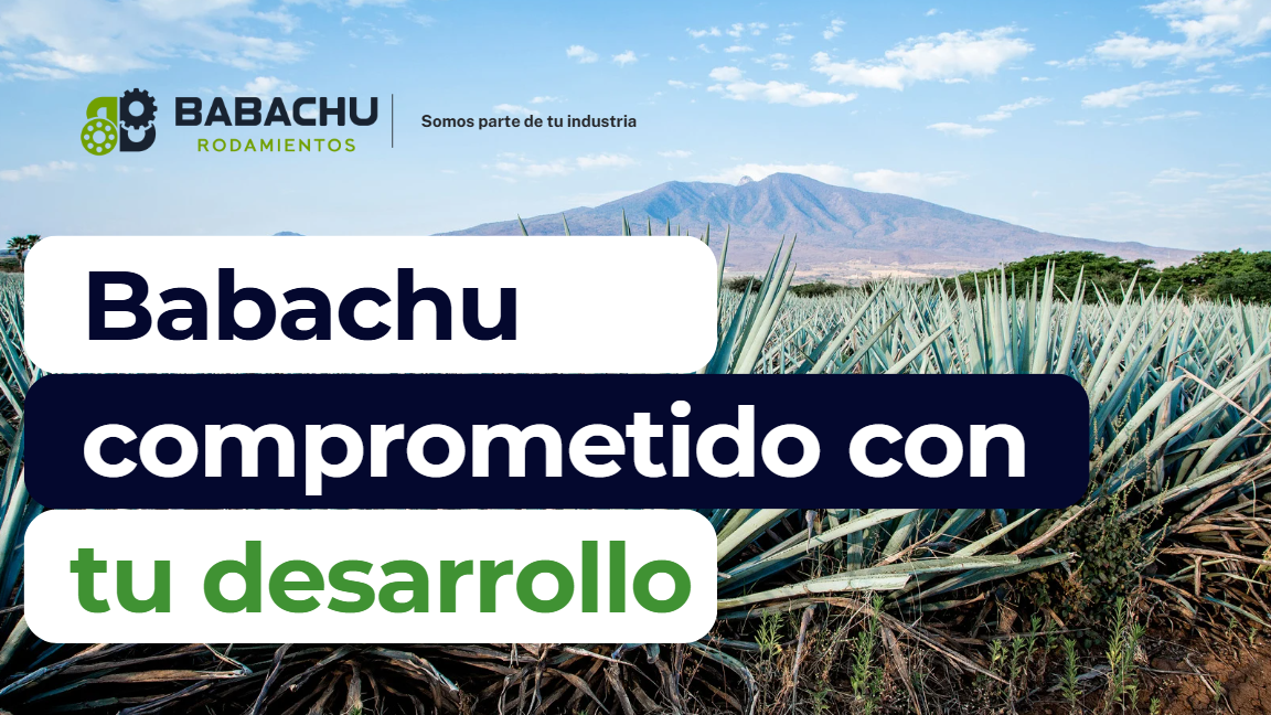 Tequilera  thumbnail
