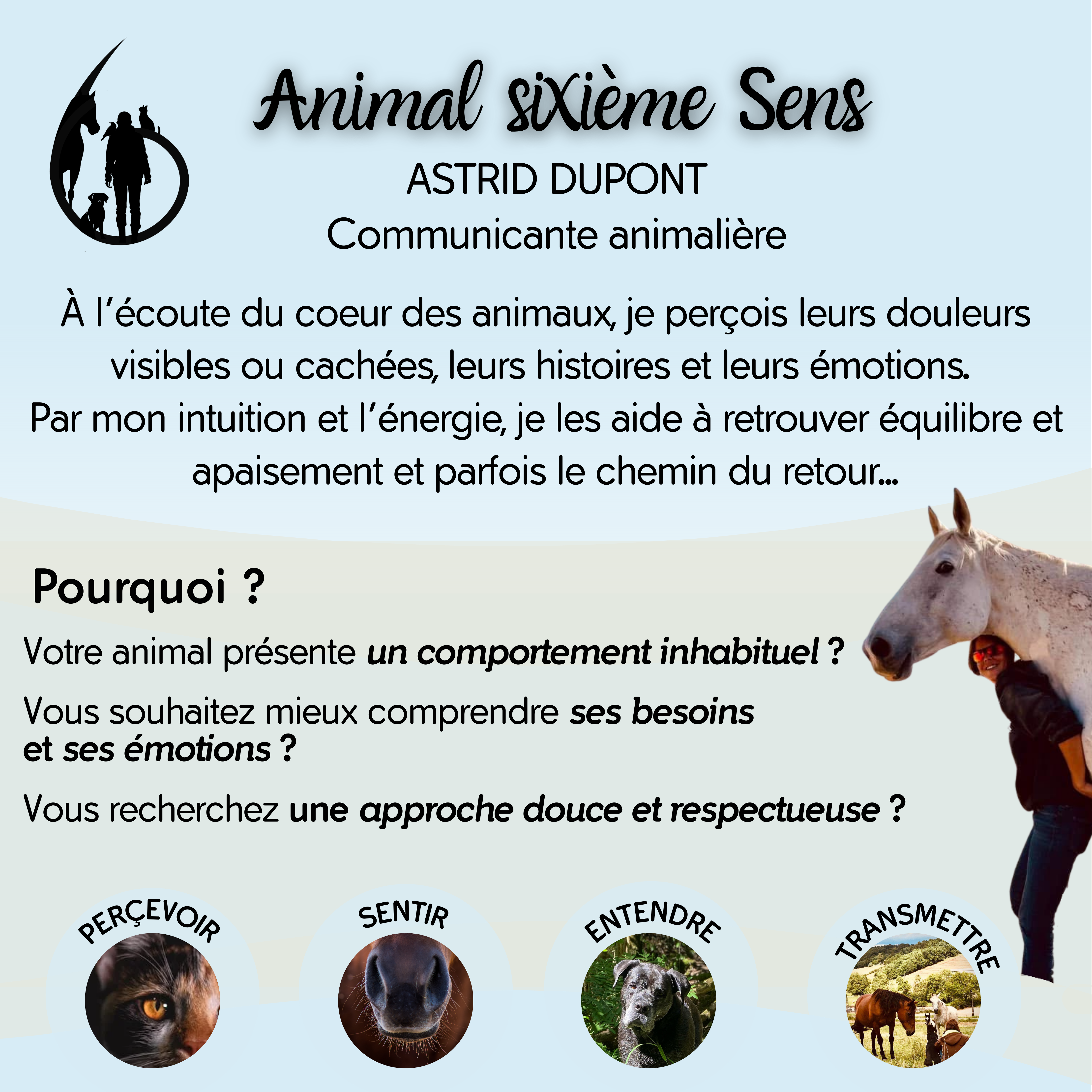 Consultez le flyer thumbnail