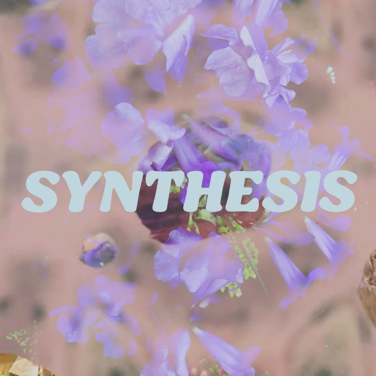 Join Community Synthesis thumbnail