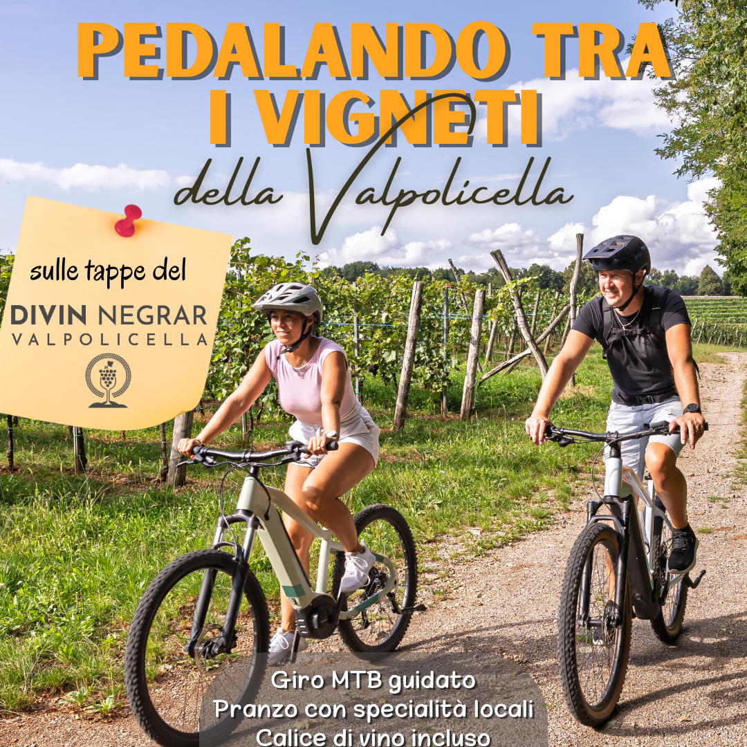 Pedalando tra i vigneti della Valpolicella 12/04 - Modulo di registrazione thumbnail