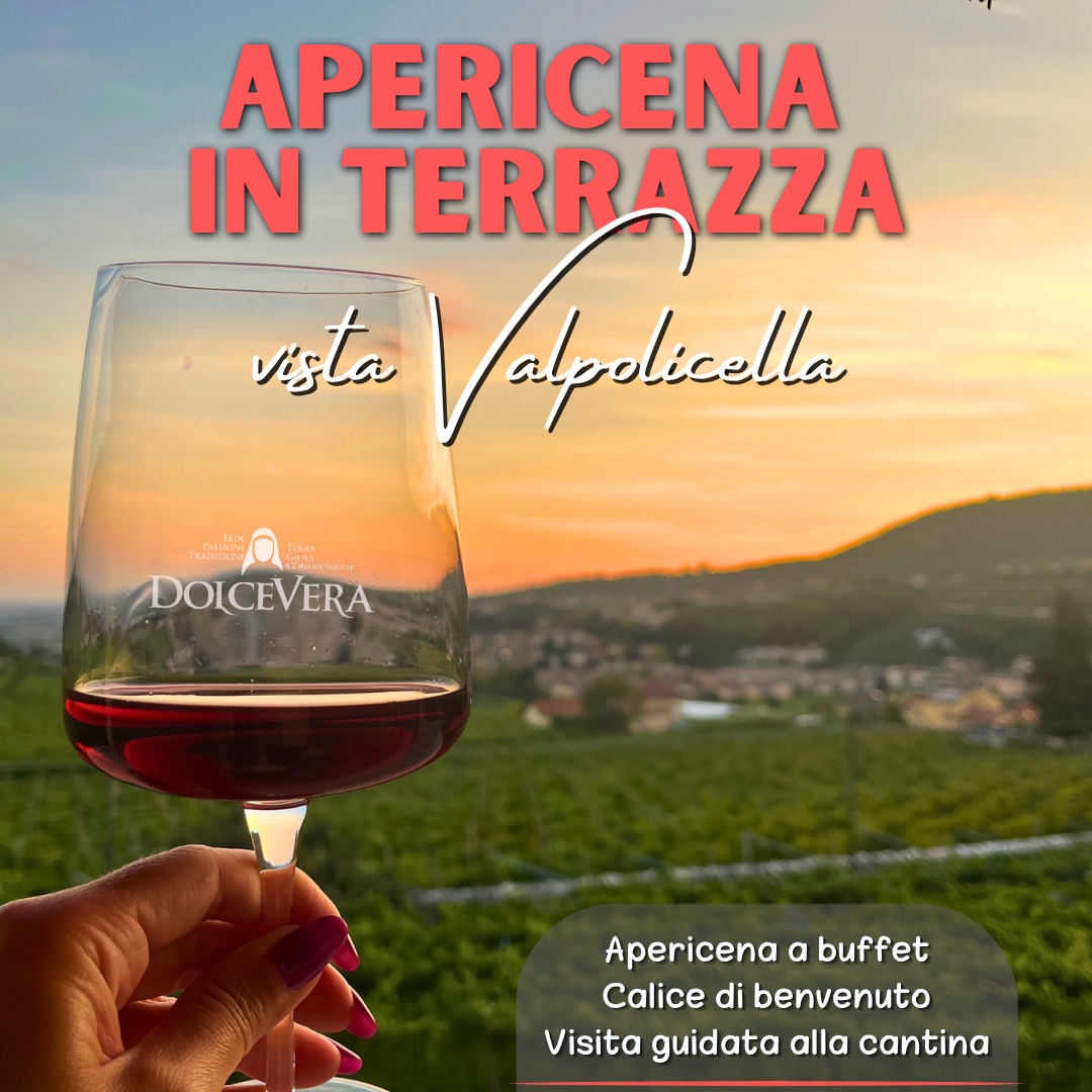 APERICENA IN TERRAZZA VISTA VALPOLICELLA 20/06 - MODULO DI REGISTRAZIONE thumbnail