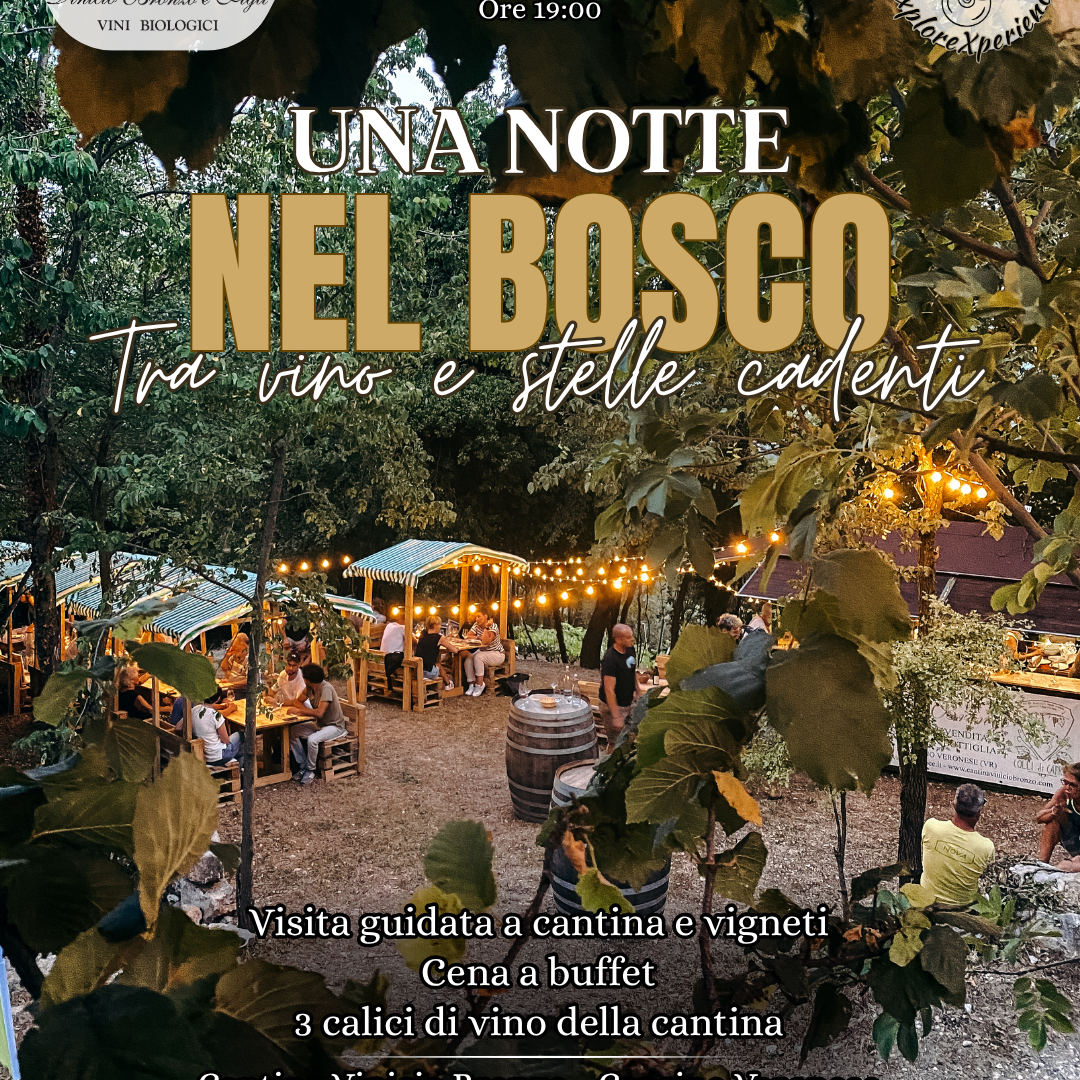 UNA NOTTE NEL BOSCO TRA VINO E STELLE CADENTI 09/08 - MODULO DI REGISTRAZIONE thumbnail