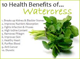 Buy Scuba Diving Gear and Snorkeling Equipment Online | Divers Supply thumbnail