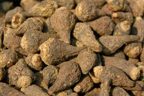 MACA ROOT!!!  thumbnail