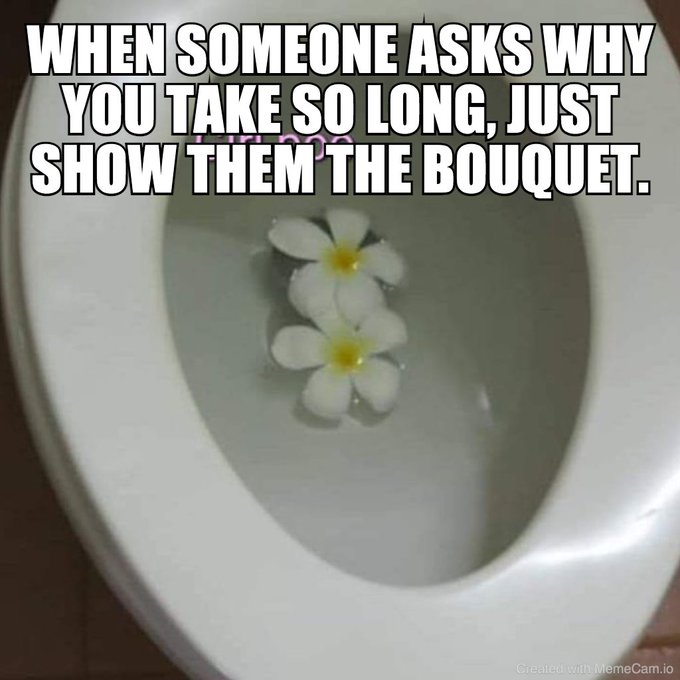 Scuba Diving Gear, Fins, Tanks, Masks & more | Divers Direct thumbnail