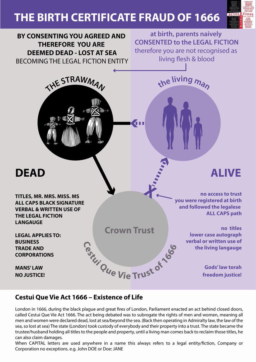 White Rabbit Shop thumbnail