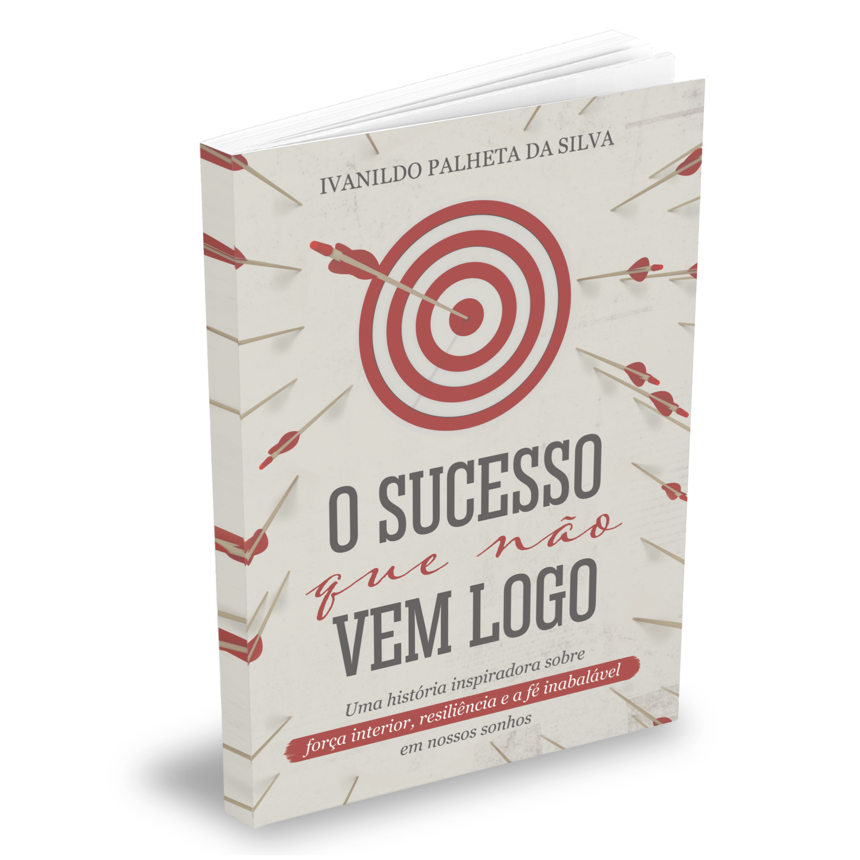 O sucesso que não vem logo - umlivro thumbnail