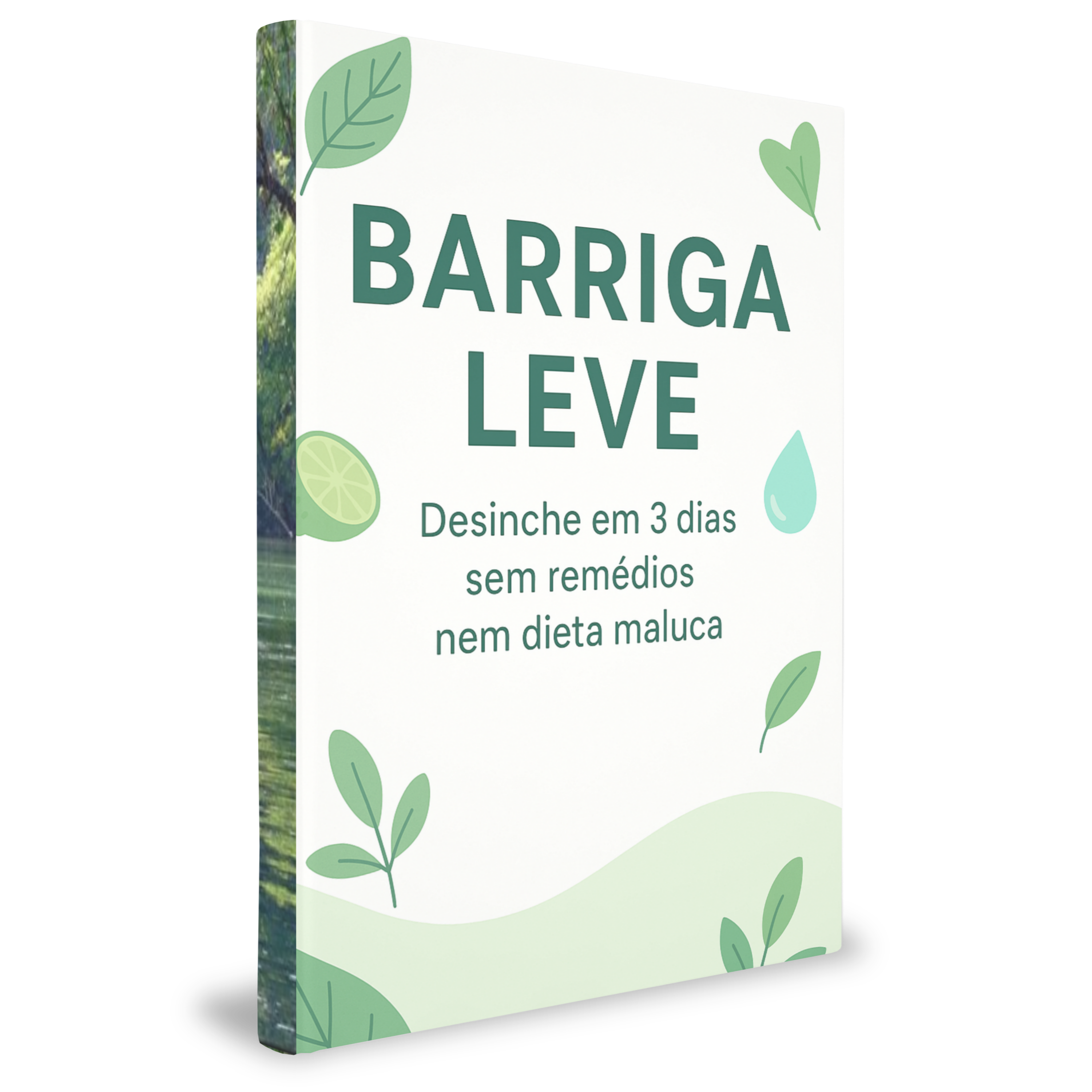 BARRIGA LEVE - COMPRE AQUI thumbnail