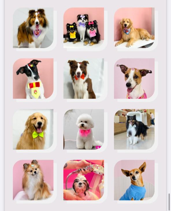 CATÁLOGO DE SERVIÇOS thumbnail