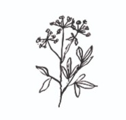 Få et havebesøg thumbnail