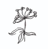 Problemer med regnvand? thumbnail