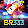 br333 thumbnail