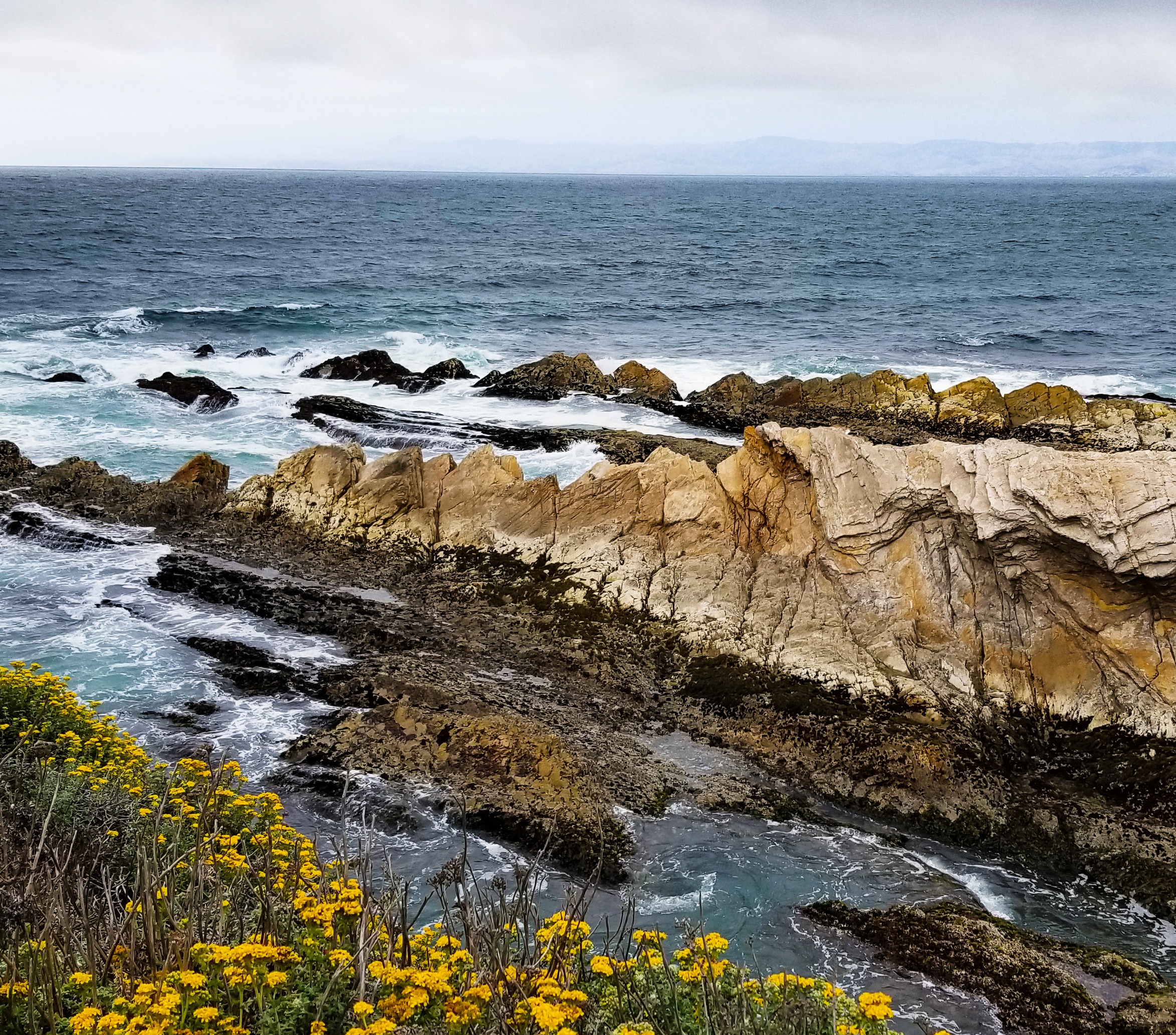 Download My Stock Photos For Free on PEXELS.COM thumbnail