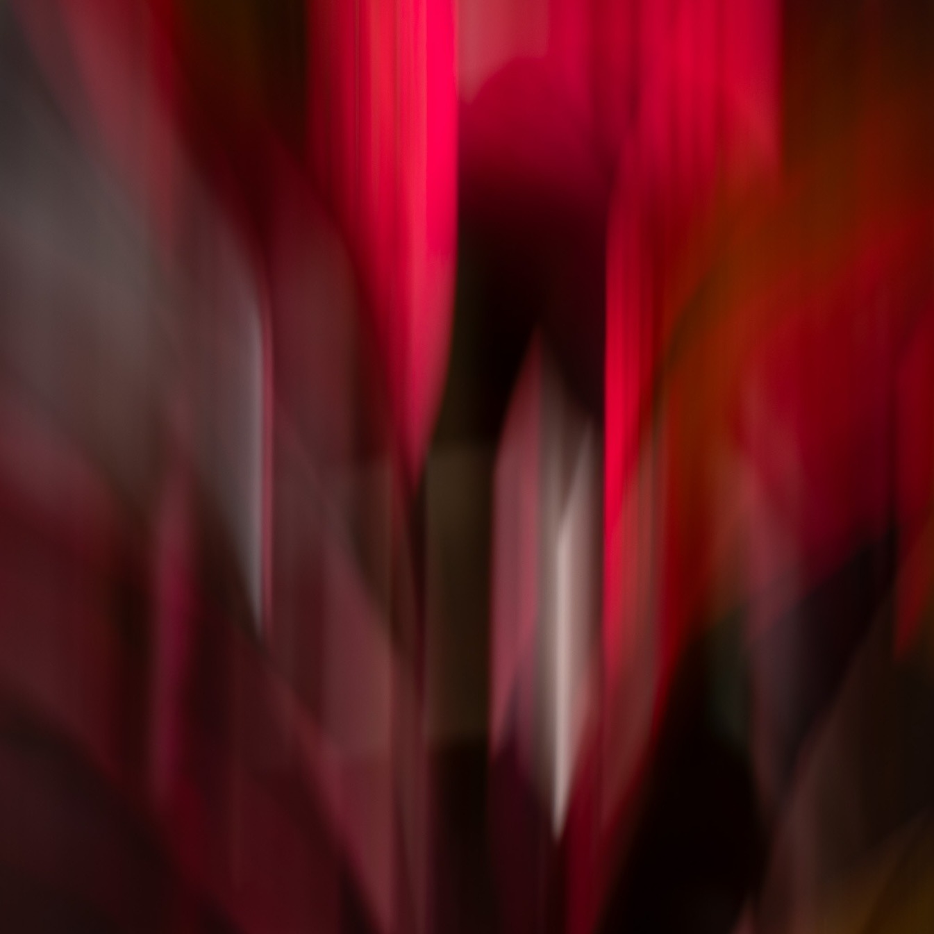 Fine Art Prints thumbnail