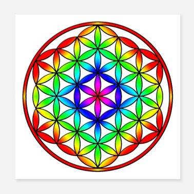 FLHM โ Website thumbnail