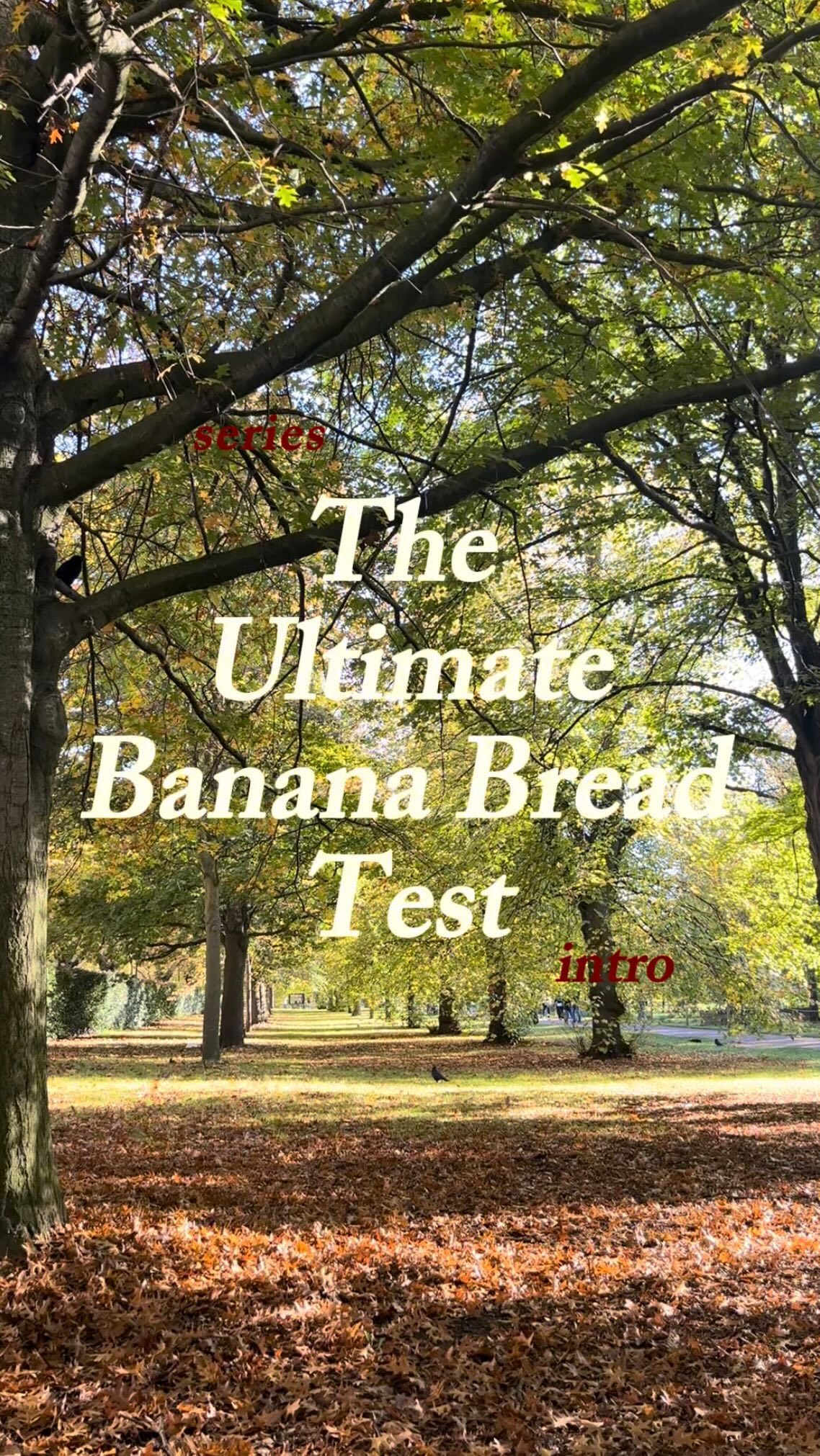 Can London Coffee Shops beat my Banana Breads💪😏?!?!!!

Welcome to the Ultimate Banana Bread Test,
where I go to local co